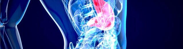 mrcp-xolaggeiopagkreatografia (1)